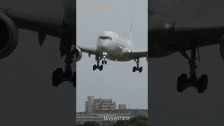 JAL Airbus A350900 Storm Crosswind Crab Landing Technique Shorts [upl. by Donoho]