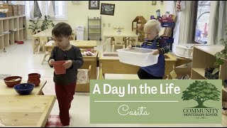 Day in the Life of Casita [upl. by Eitsirk]