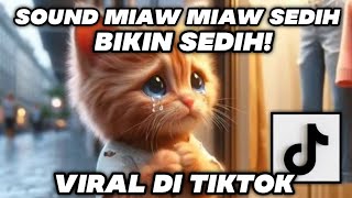 ANAK KUCING MEONG MEONG  Lagu Anak  Anak  Kompilasi Kucing Lucu [upl. by Harlan]