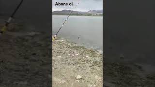 Balık avı 🐟 videoları sizlere keşfet fishing carpfishing carp kesfetteyiz fish balık shorts [upl. by Aelahs]