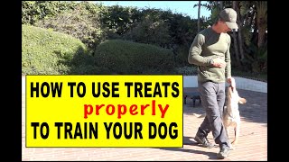 How to Use Treats in Dog Training  Theory and Delivery of Treats for Puppies and Adult Dogs [upl. by Odlawso627]