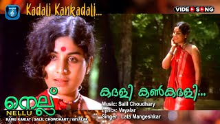 Kadhali kankadhali  Malayalam Super hit Video song  Nellu  Vayalar  Salilchaudhari [upl. by Enneicul]