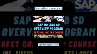 Shorts  Mastering SAP MM amp SD Your Ultimate Overview Program [upl. by Delanie]