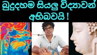 සියලු විද්‍යාවන් පරදවන බුදුදහ‌ම ගැන කළ ප්‍රායෝගික අත්හදා බැලීම මෙන්න buddha buddhism science [upl. by Carolina]