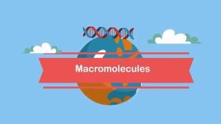 MacromoleculesA Beginners Guide [upl. by Fonz]