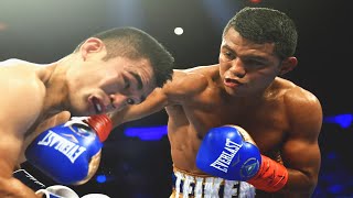 Roman Gonzalez vs Brian Viloria  Highlights Explosive FIGHT amp KNOCKOUT [upl. by Trstram]