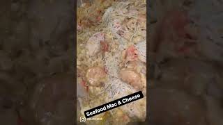 How to make Seafood Mac amp Cheese shorts [upl. by Donielle]