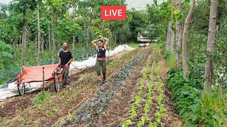 AGRICOLTURA RIGENERATIVA e AGROFORESTAZIONE Con Matteo Mazzola 🔴 [upl. by Phedra766]