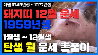 1959년생 12월 돼지띠운세 12월 대박의 순간 59년돼지띠12월운세 59년생돼지띠12월운세 [upl. by Reprah]