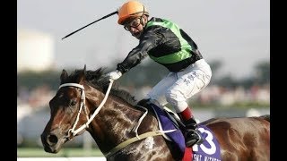 2005 Japan Sprinters Stakes G1  Silent Witness 精英大師  FCoetzee [upl. by Enelra]