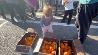 Pumpkin patch at the church festival [upl. by Antonio725]