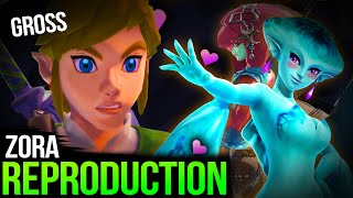 How EXACTLY did the Zora quotEvolvequot into the Rito  Zelda Tears Of The Kingdom Theory Compilation [upl. by Yssim]