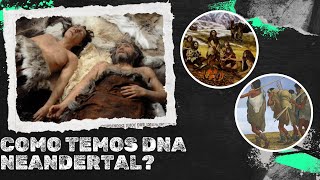 DNA NEANDERTAL  COMO OS SERES HUMANOS MODERNOS TEM DNA DOS NEANDERTAIS [upl. by Fidelia]