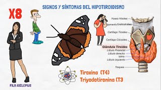 ENFERMEDAD DE TIROIDES  SIGNOS Y SÍNTOMAS QUE PODRÍAN INDICARTE QUE TIENES HIPOTIROIDISMO [upl. by Yerag79]