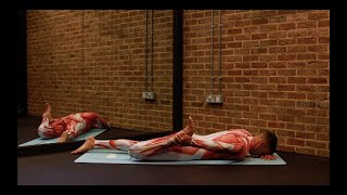 Vastus Lateralis THIGH Stretch for All laying – iStretch [upl. by Annenn]