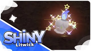 Live Shiny Litwick in Scarlet amp Violet [upl. by Haelhsa573]