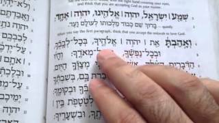 Practice reading the Shema [upl. by Aibsel]