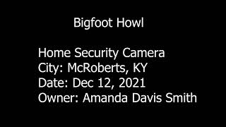 Kentucky Bigfoot Howl bigfoot cryptozoology cryptids kentucky scary shortvideo bigfootjustice [upl. by Vergos]