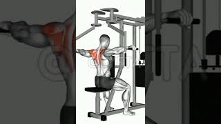 Rear Deltoid Machine fitness motivationshoulder howheavyarethedumbbellsyoulift personaltrainer [upl. by Eittel]