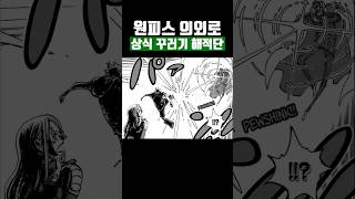 원피스 의외로 상식 꾸러기 해적단 [upl. by Etirugram350]