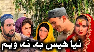 Nia Hes Ba Na Wem  Khpala Weena Drama Episode 56 By Charsadda Vines Director SadiqKhan 2024 [upl. by Dorehs335]