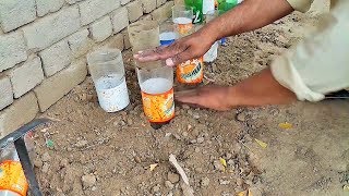 plastic Bottles Beautiful Vegetable Garden ideas Using plastic Bottles [upl. by Aicilaanna127]