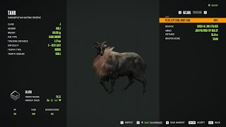 Thar  3Dark brown  theHunter Call of the Wild 2024 06 26 [upl. by Chariot74]