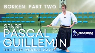 Pascal Guillemin bokken in Brescia part 2 [upl. by Weinreb]