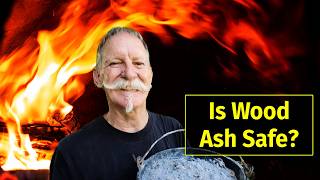 Should You Be Using Wood Ash in Your Organic Garden [upl. by Onavlis]