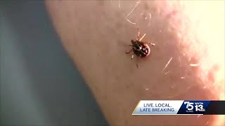 How to protect yourself from tickborne illnesses on the rise in Alabama [upl. by Karilla]