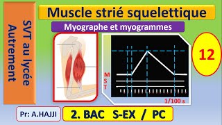 Muscle strié squelettique Myogrammes secousse musculaire rhéobase et phénomène de recrutement [upl. by Un]