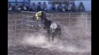 Tucson Rodeo  Bull Gone Wild [upl. by Druci542]