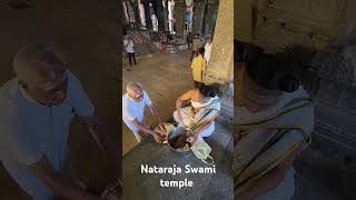 Nataraja Swamy temple Chidambaram today prasadam vitran [upl. by Yht829]