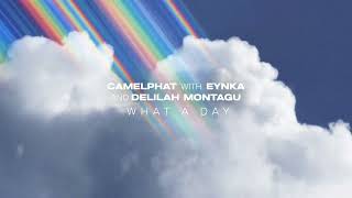 CAMELPHAT amp Eynka amp Delilah Montagu  What A Day [upl. by Dranik]