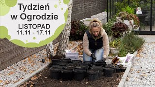 Listopad w ogrodzie Kalendarz ogrodnika na 0411  1011 Prace ogrodnicze w listopadzie [upl. by Nahsrad118]