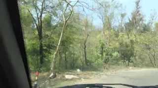 Haridwar To Rishikesh Road TripVia Rajaji National Park [upl. by Elle623]