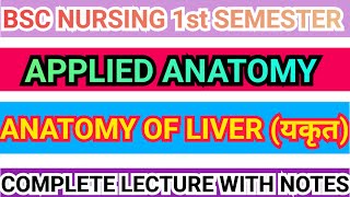 LIVER ANATOMY  APPLIED ANATOMY  BLOOD AND NERVE SUPPLY  BSC NURSING  1ST SEM [upl. by Drahcir]