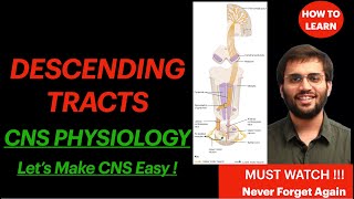 Neuroanatomy Descending Tract CNS Physiology Pyramidal Tract Spinal Cord Explanation  Mnemonic [upl. by Orimar871]