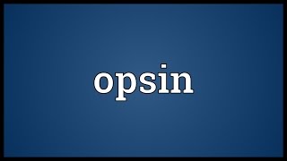 Opsin Meaning [upl. by Notniw]