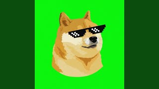 DOGE MEME SONG Remix [upl. by Mossberg568]