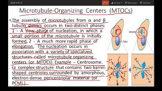 Cytoskeleton part 1 Microtubules polymerization functions MTOC motor proteins [upl. by Flem350]