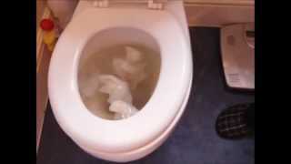 Unblock a toilet in 60 seconds DALROD [upl. by Nollad927]