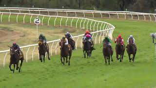 Goondiwindi 20240601 Race 6 [upl. by Notselrahc]