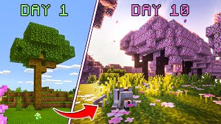 I Spent 100 Days Building a Cherry Blossom for Relaxing with minecraft music amp ambience [upl. by Melleta]