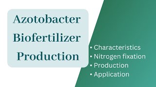 Azotobacter biofertilizer productionAzotobacter Nitrogen fixationApplication of Azotobacter [upl. by Rettig]