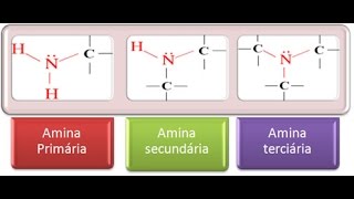 Aminas Concepto y Ejemplos [upl. by Sitsuj]