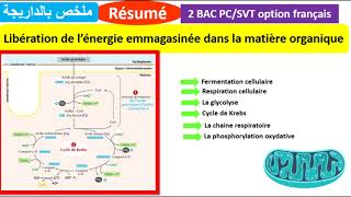 Résumé  Libération de lénergie emmagasinée dans la matière organique ملخص بالداريجة [upl. by Neelie]