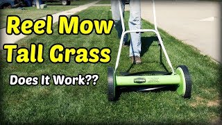 Reel Mowing Tall Grass [upl. by Htidra]