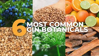 The 6 Most Common Gin Botanicals [upl. by Korten]