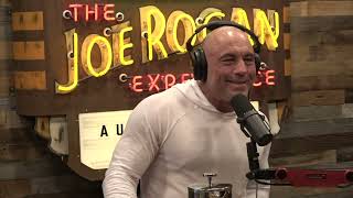 Joe Rogan Experience 2019  Tim Dillon [upl. by Aldon290]